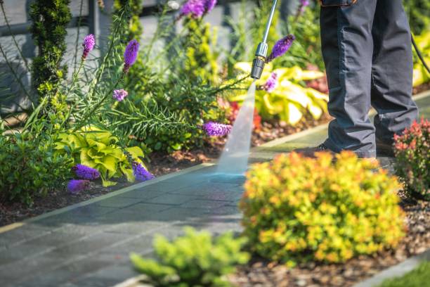 Best Post-Construction Pressure Washing  in Vienna, WV